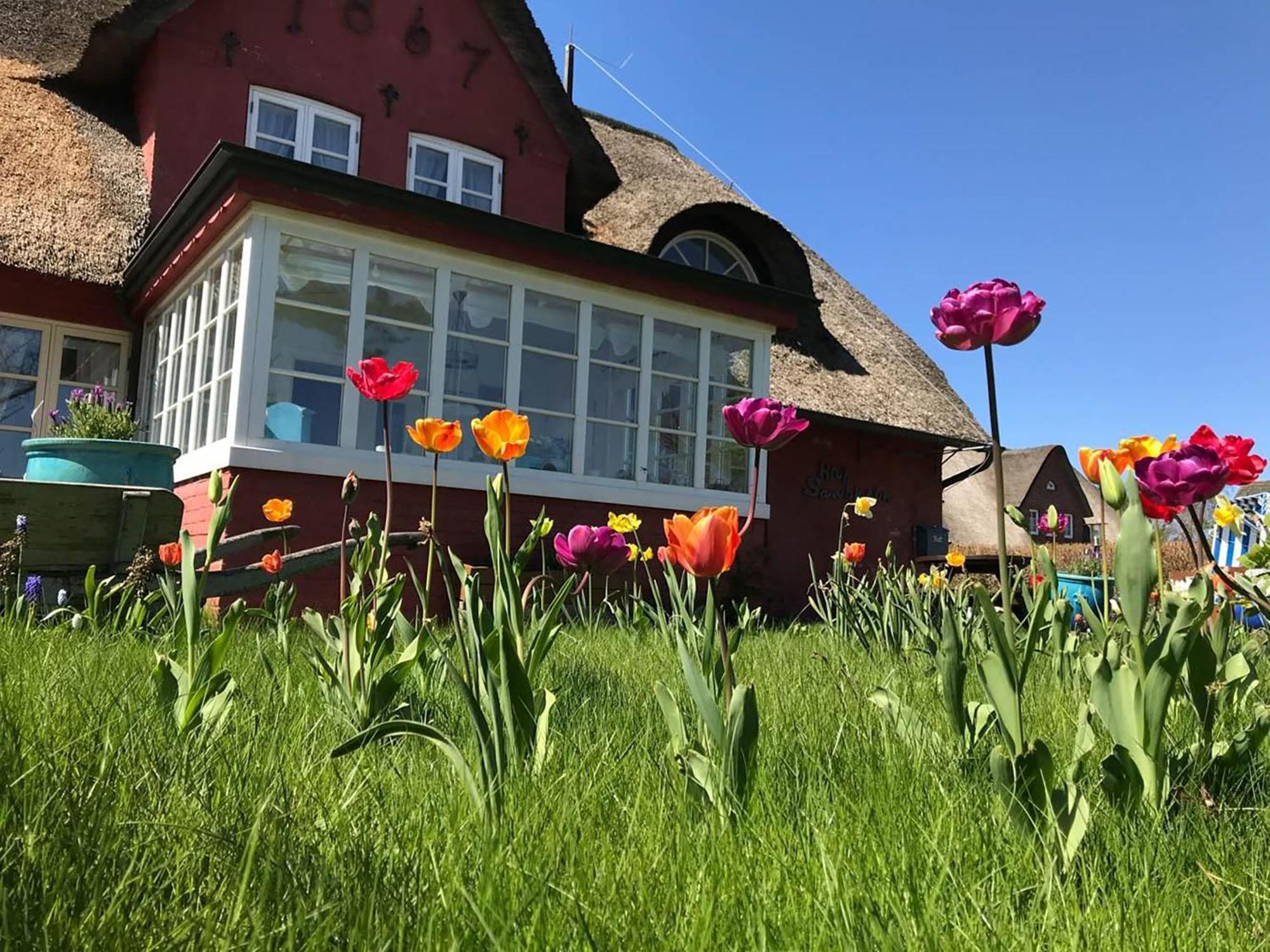 Hues Sanskiin Ferienwohnung *Brombelbei* Suddorf Extérieur photo